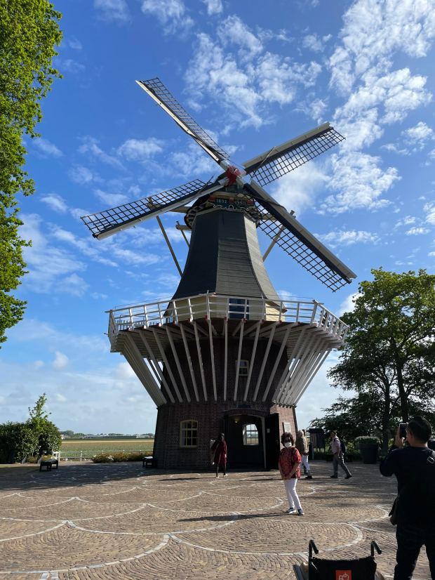 The windmill at Keukenhof Gardens