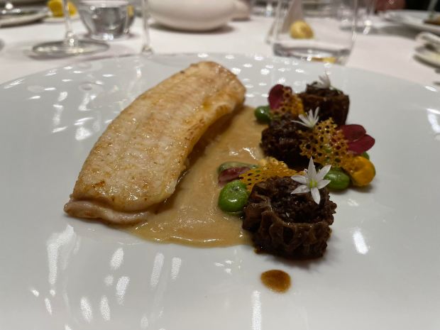 Sole with fava beans and morel mushrooms at Maison Rostang in Paris.