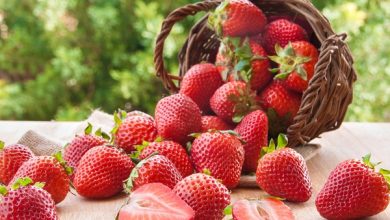 Strawberries' Reliable Health Benefits