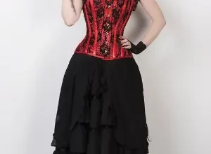costume ideas with a corset