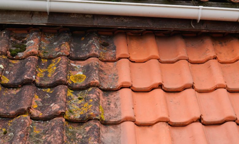 Gutter Cleaning Protecting Your Home from Water Damage