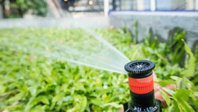 Why Choose Professional Irrigation System Installations for Your Garden