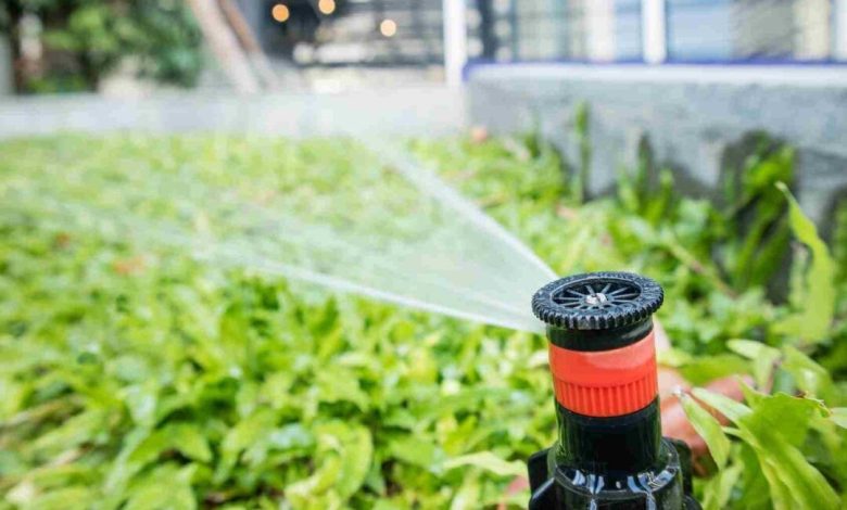 Why Choose Professional Irrigation System Installations for Your Garden