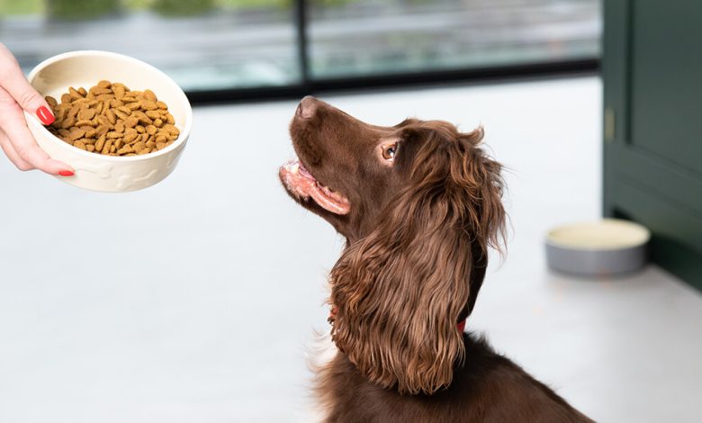 Grain-Free Dog Food