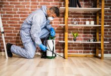 Affordable and Reliable Exterminator Services in Schenectady, NY