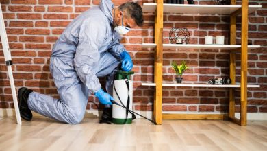 Affordable and Reliable Exterminator Services in Schenectady, NY