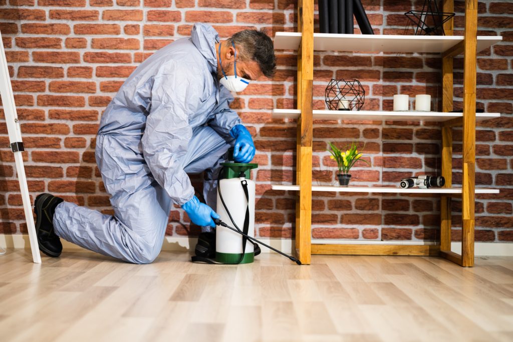 Affordable and Reliable Exterminator Services in Schenectady, NY