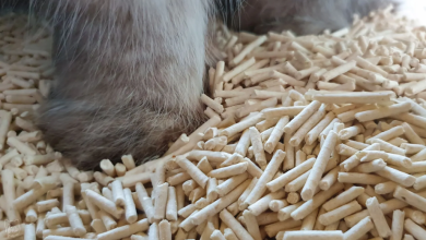 Tofu Cat Litter