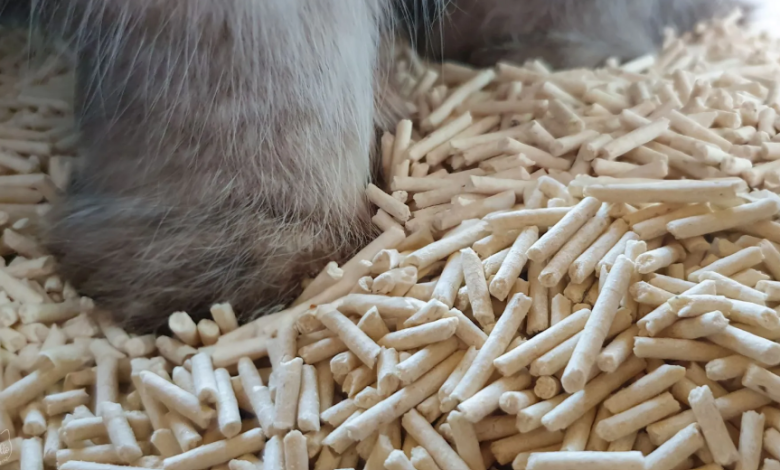 Tofu Cat Litter