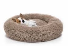 dog beds