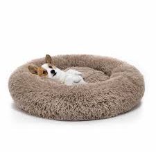 dog beds