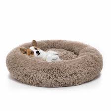 dog beds